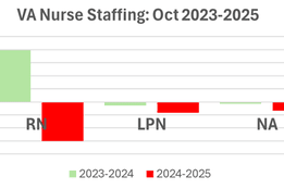 Bar chart comparing VA nurse staffing changes, showing RN gains in 2023–24 and losses across RN, LPN, and NA in 2024–25.